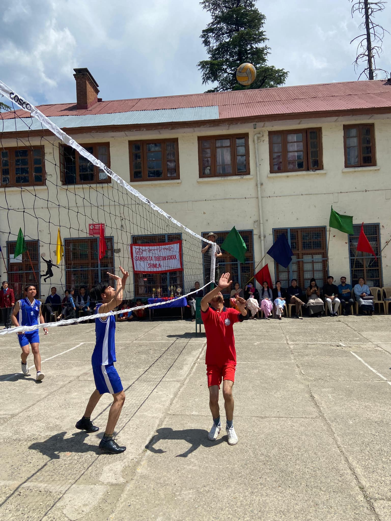 Volleyball24