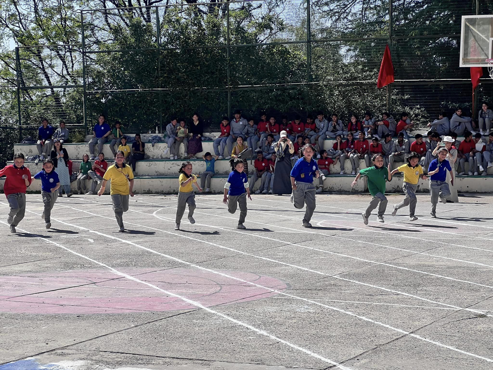 Primary24